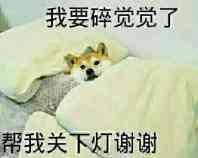 dog-sleep